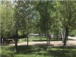 Trees around a gravel RV site at PHILLIPS RV PARK - thumbnail
