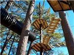 The rope course high in the trees at SUN OUTDOORS FRONTIER TOWN - thumbnail