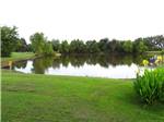 View of pond surrounded by grass, flowers and trees at FORT SMITH-ALMA RV PARK - thumbnail