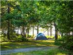 Tent camping at MT DESERT NARROWS CAMPING RESORT - thumbnail