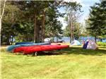 Tents camping at MT DESERT NARROWS CAMPING RESORT - thumbnail
