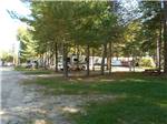 Gravel RV sites with trees at WASSAMKI SPRINGS CAMPGROUND - thumbnail