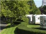 Trailers parked next to grass and road at JANTZEN BEACH RV PARK - thumbnail