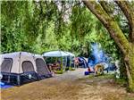 One of the occupied tent sites at CASINI RANCH FAMILY CAMPGROUND - thumbnail