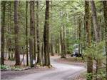 Road leading into campground at RIP VAN WINKLE CAMPGROUNDS - thumbnail