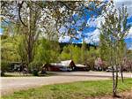 One of the buildings surrounded by trees at ALPEN ROSE RV PARK - thumbnail