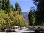 Looking down the road at tree lined RV sites at ALPEN ROSE RV PARK - thumbnail