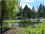 Campsites among rich greenery near the pond at BEND/SISTERS GARDEN RV RESORT - thumbnail