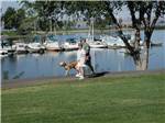 A couple walking a dog along the water at BOARDMAN MARINA & RV PARK - thumbnail
