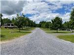 One of the gravel roads at FRIENDSHIP VILLAGE CAMPGROUND & RV PARK - thumbnail