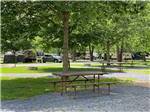 A picnic bench under a tree at FRIENDSHIP VILLAGE CAMPGROUND & RV PARK - thumbnail