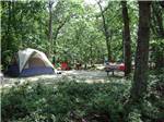 Tent camping at MARTHA'S VINEYARD FAMILY CAMPGROUND - thumbnail