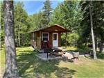 Private cabin available to rent at BADDECK CABOT TRAIL CAMPGROUND - thumbnail