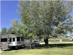 A travel trailer under a tree at BEAVERHEAD RIVER RV PARK & CAMPGROUND - thumbnail