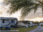 Curving campground road with RVs on the side at HOLIDAY RV VILLAGE - thumbnail