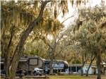 Two fifth-wheels under tropical trees at HOLIDAY RV VILLAGE - thumbnail
