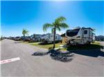 Palm trees next to the front entrance sign at TAMIAMI RV PARK - thumbnail