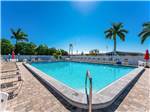Lounge chairs around the swimming pool at TAMIAMI RV PARK - thumbnail