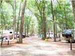 Trailers and RVs camping at JEKYLL ISLAND CAMPGROUND - thumbnail