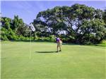 Boy golfing at JEKYLL ISLAND CAMPGROUND - thumbnail
