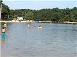 Campers swimming at CAPE COD'S MAPLE PARK CAMPGROUND & RV PARK - thumbnail