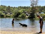 A couple of dogs playing in the water at CAPE COD'S MAPLE PARK CAMPGROUND & RV PARK - thumbnail