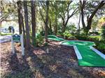 Miniature golf course at ENCORE SHERWOOD FOREST - thumbnail