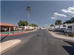 The road leading to the RV sites at SUN & FUN RV PARK - thumbnail