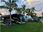 RVs in sites next to palm trees at JOLLY ROGER RV RESORT - thumbnail
