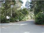 Paved roadway leading through grounds at POMO RV PARK & CAMPGROUND - thumbnail