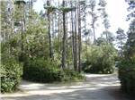 Well maintained road winding through grounds at POMO RV PARK & CAMPGROUND - thumbnail