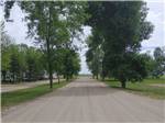 Tree-lined road leading to campsites at GRAND FORKS CAMPGROUND - thumbnail