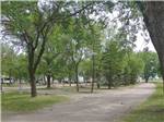 Dirt road leading to campsites at GRAND FORKS CAMPGROUND - thumbnail