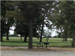 A bbq and picnic table at an RV site at BOOTHEEL RV PARK & EVENT CENTER - thumbnail