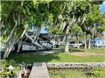 A view of some of the RV sites at ZACHARY TAYLOR WATERFRONT RV RESORT - thumbnail