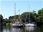 Sail boats anchored in the water nearby at ZACHARY TAYLOR WATERFRONT RV RESORT - thumbnail