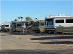 Row of RVs in sites separated by wooden fences at 88 SHADES RV PARK - thumbnail