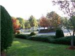 A grassy area with bushes at RED APPLE CAMPGROUND - thumbnail