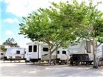 RVs parked under trees in RV sites at COLONIA DEL REY RV PARK - thumbnail
