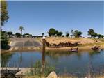 Boat ramp and boats in the water at DESTINY RV RESORTS-MCINTYRE - thumbnail