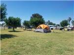A tent in a grassy area at DESTINY RV RESORTS-MCINTYRE - thumbnail