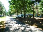 Airstream and cabin along a paved tree lined road at TWIN MILLS CAMPING RESORT - thumbnail