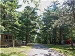 Paved tree lined road with a playground on one side and a cabin on the other at TWIN MILLS CAMPING RESORT - thumbnail