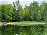 Tranquil view of water and trees at BER WA GA NA CAMPGROUND - thumbnail