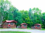 Some of the cabins near the trees at BISSELL'S HIDEAWAY RESORT - thumbnail