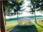 One of the tenting area sites at BISSELL'S HIDEAWAY RESORT - thumbnail