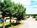 View of road leading to campsites at SANTA ROSA CAMPGROUND - thumbnail