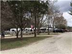 Row of parked trailers off gravel road at PARADISE LAKE FAMILY CAMPGROUND - thumbnail