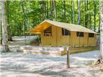 The rental Safari cozy-camp tent at SUMMER HOUSE PARK - thumbnail