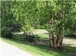 Picnic tables under some trees at GOLDEN MUNICIPAL CAMPGROUND - thumbnail